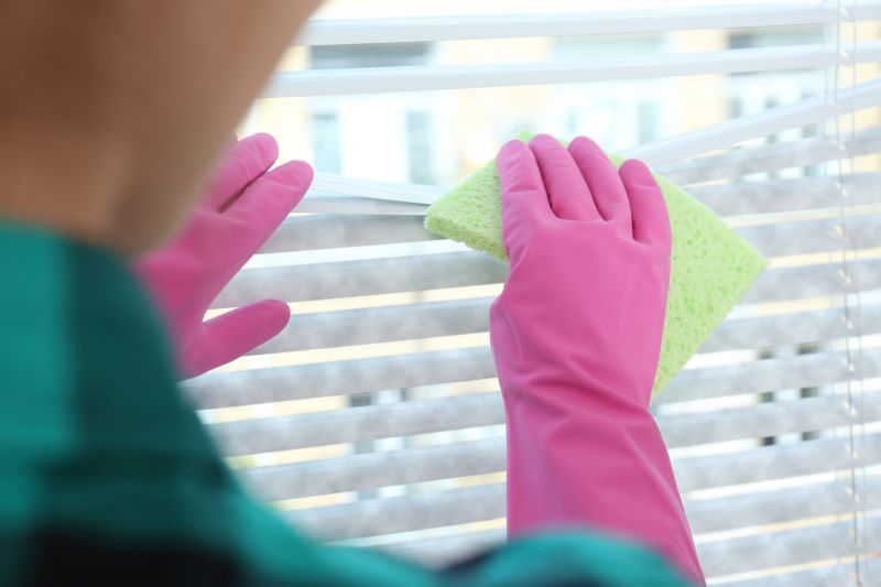 Blinds Cleaning